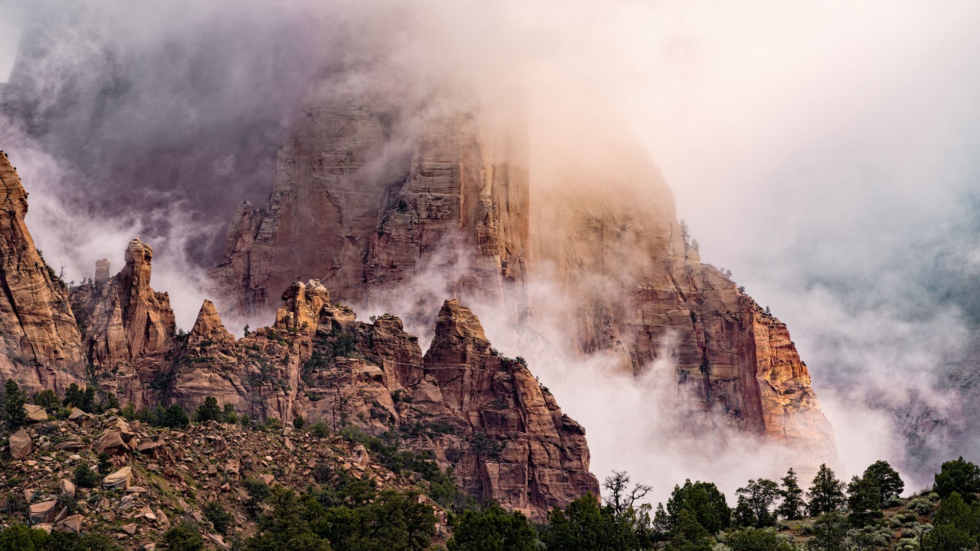 Die sensationellen Sandsteinwände im Zion National Park sind durch Erosion entstanden.