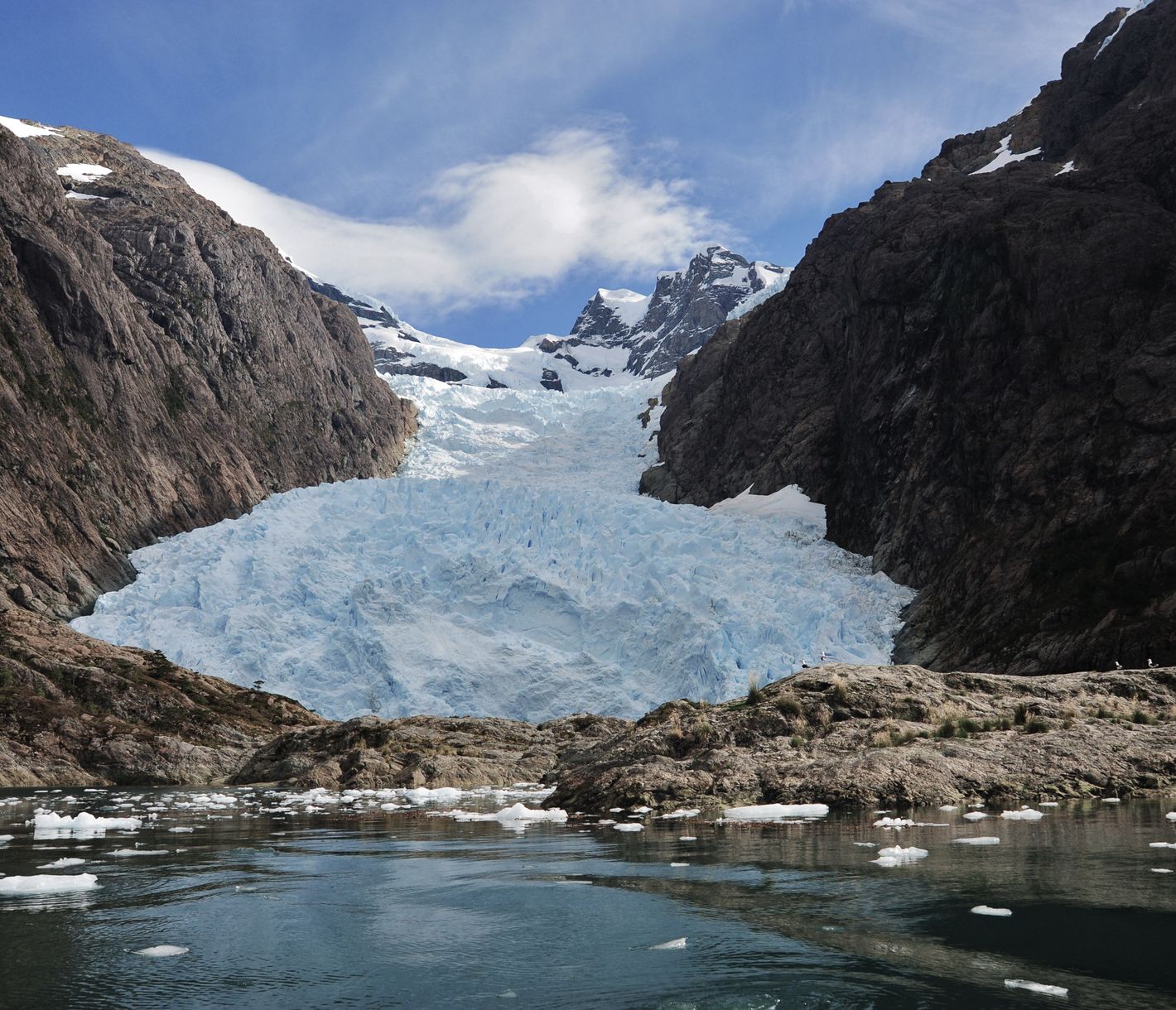 Der Alsina Gletscher ist Teil des "Fjords der Berge". Gehen Sie an Land und erkunden Sie den Gletscher.