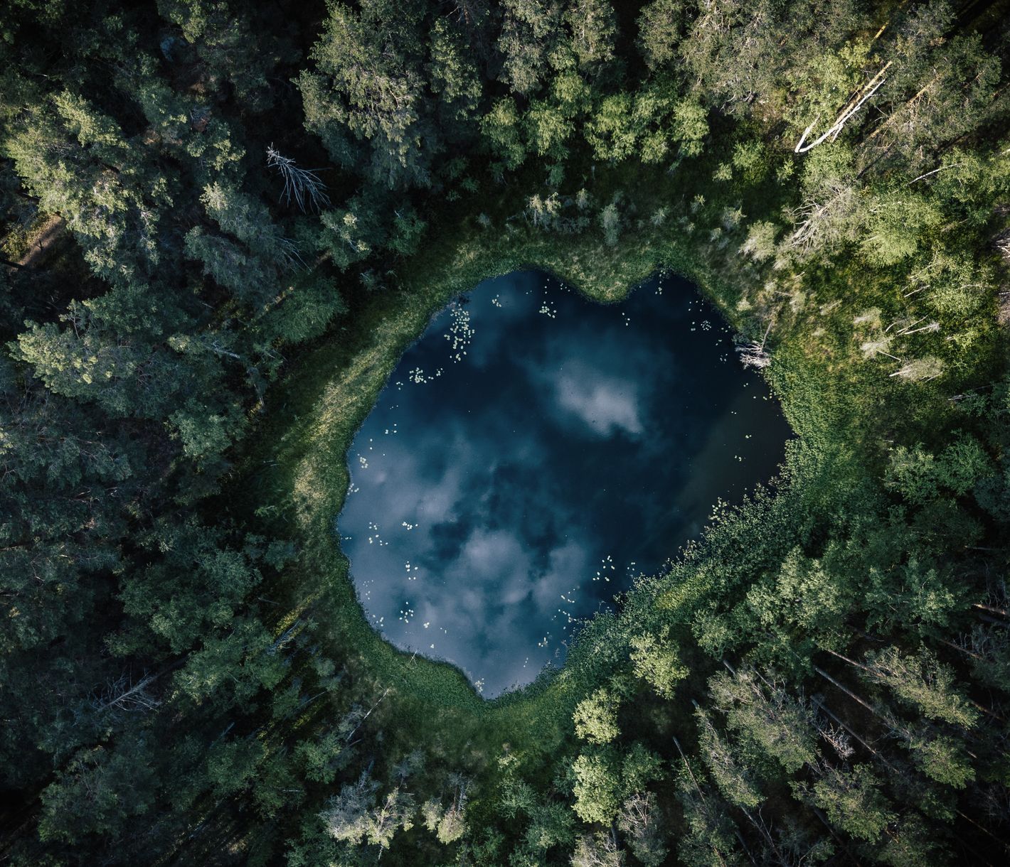 Das Land der 1000 Seen und Wälder