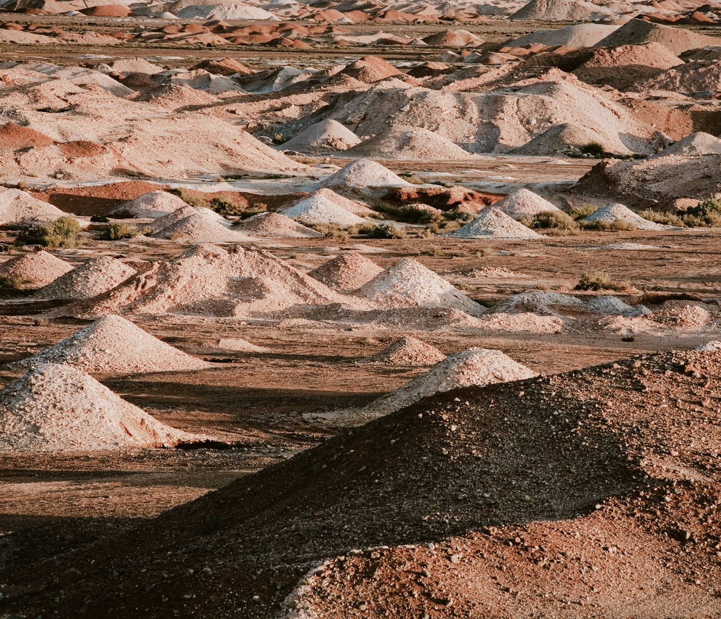 Wer buddelt denn hier?