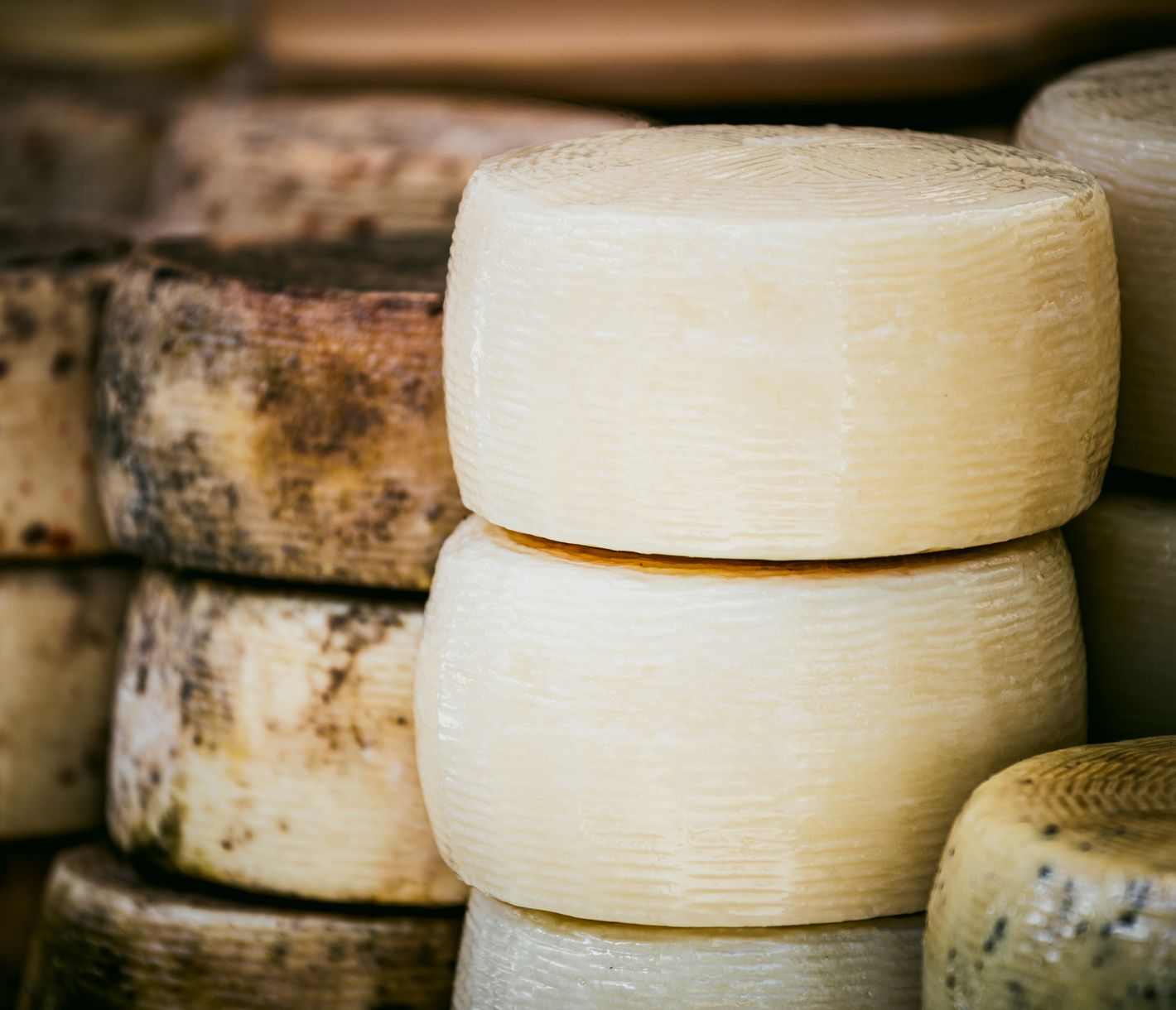 Eine sardische Spezialität: Pecorino-Sardo-Käse