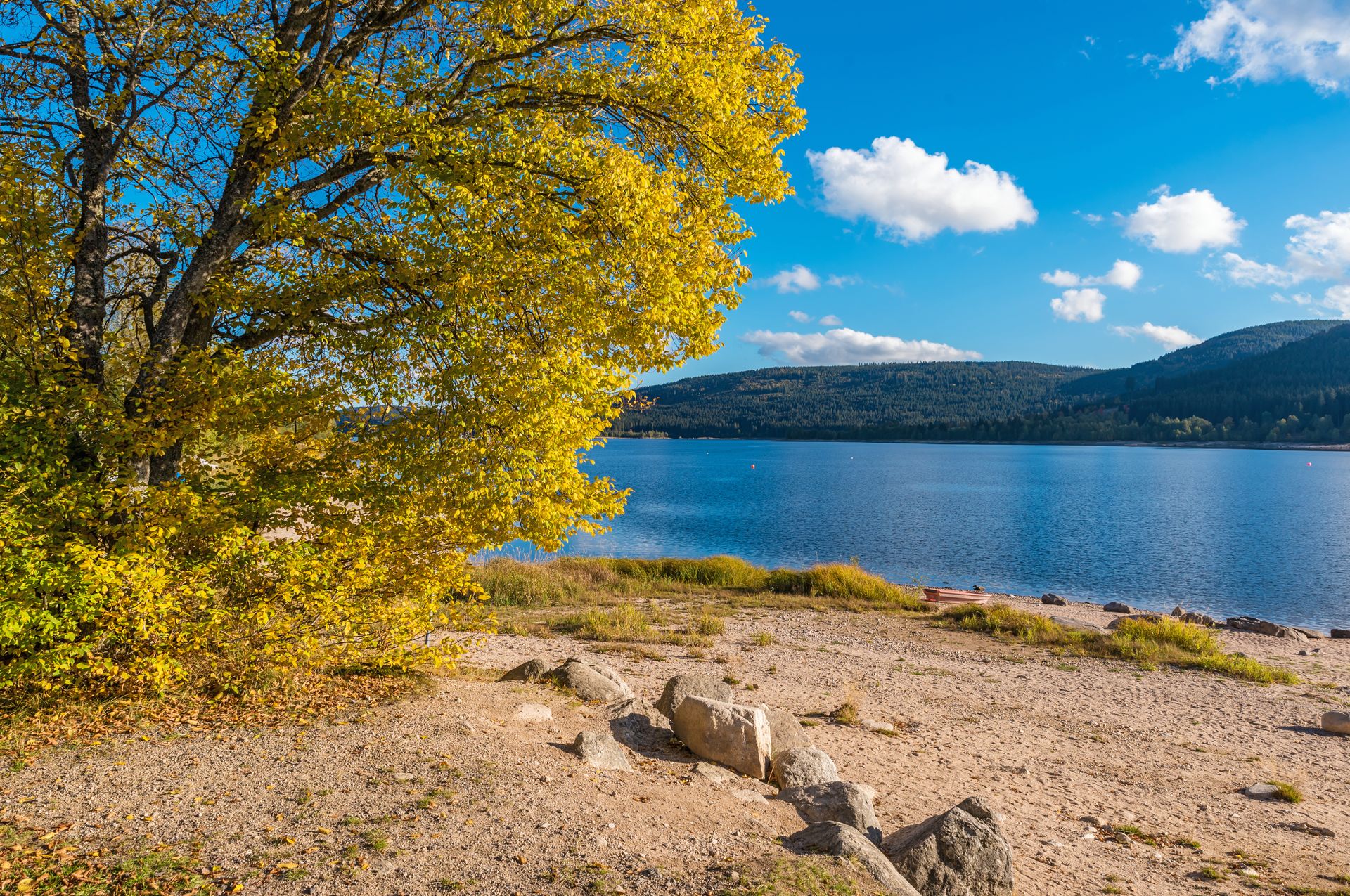Schluchsee im Sommer