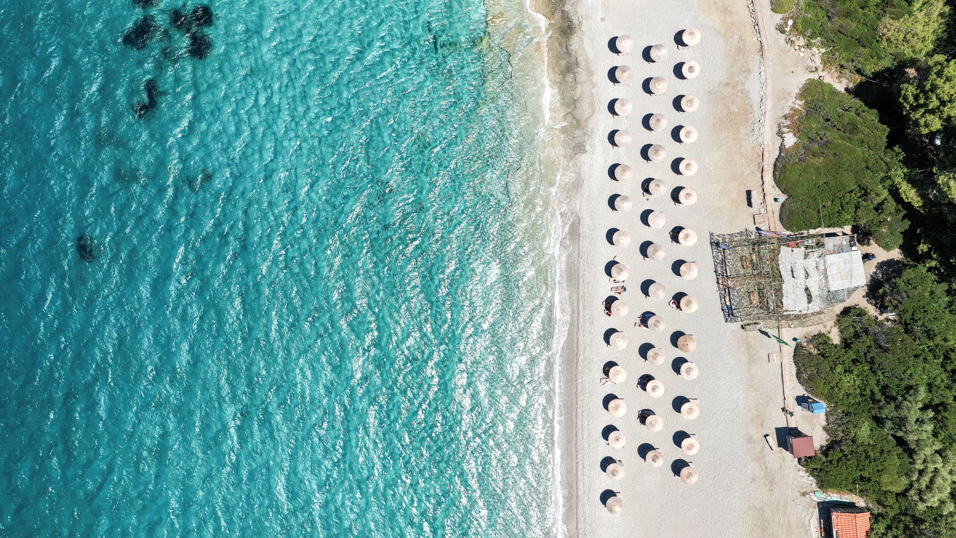 Skopelos – eine Insel mit 2 Häfen und jeder Menge Wald