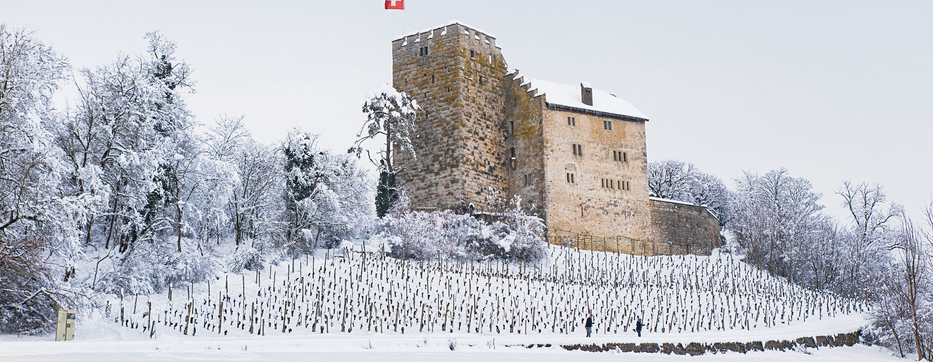 Château Habsburg
