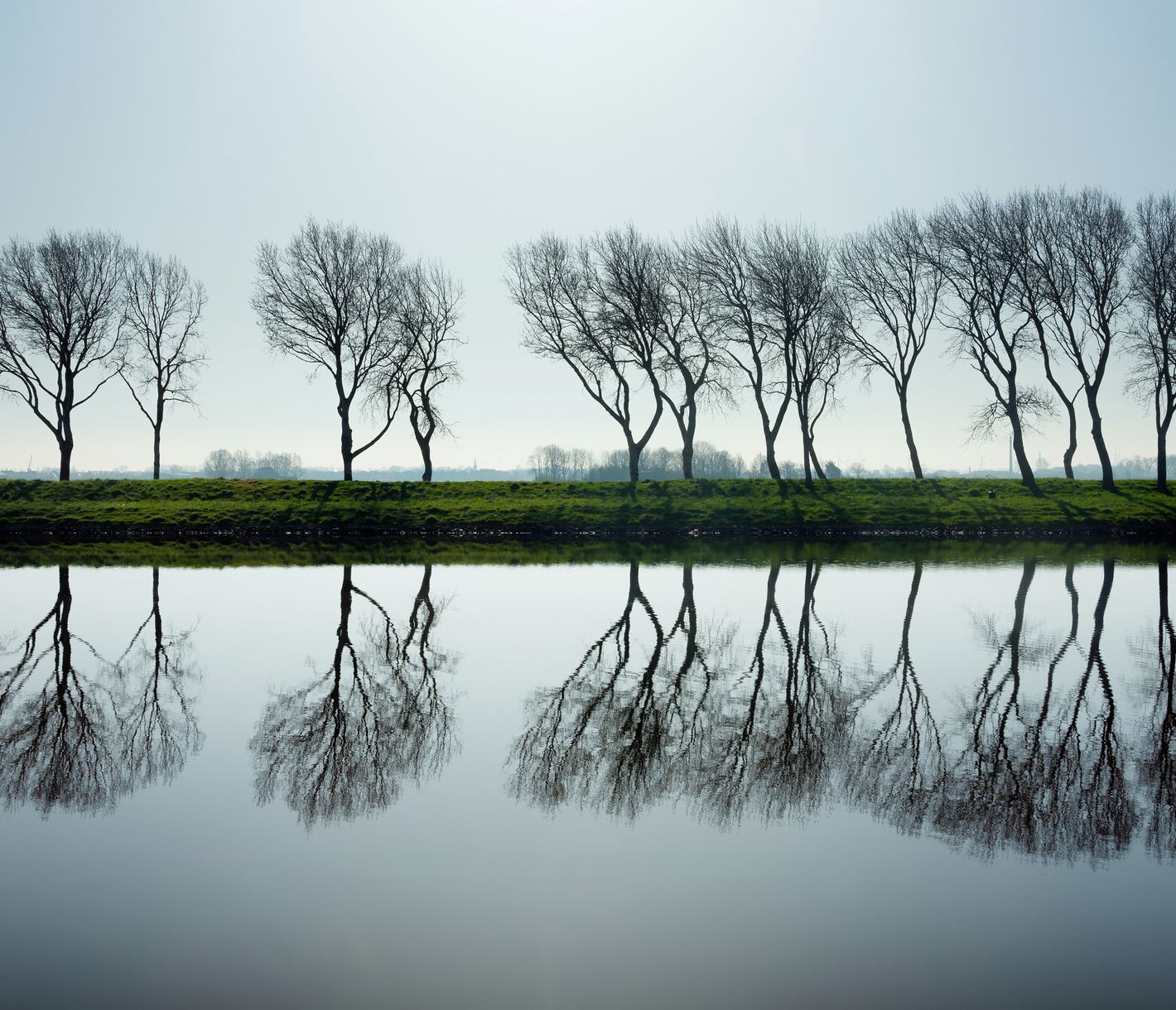 Bäume an einem Kanal bei der Stadt Middelburg, Provinz Zeeland