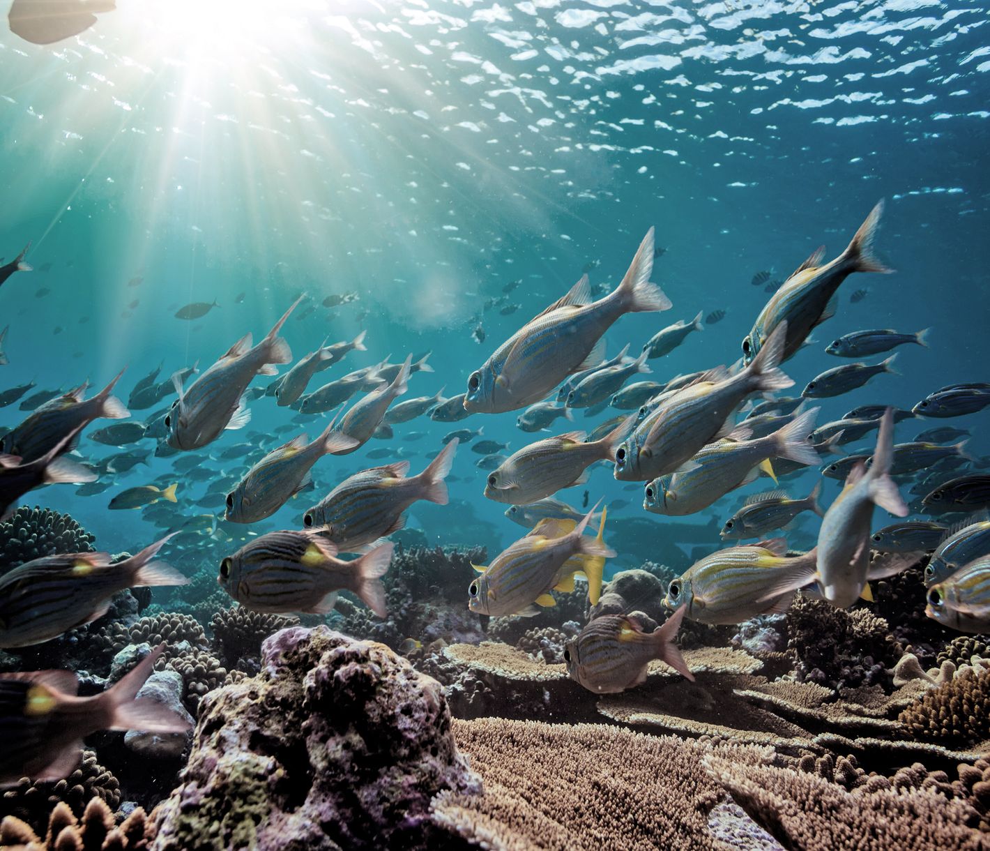 Einer für alle. Alle für einen.