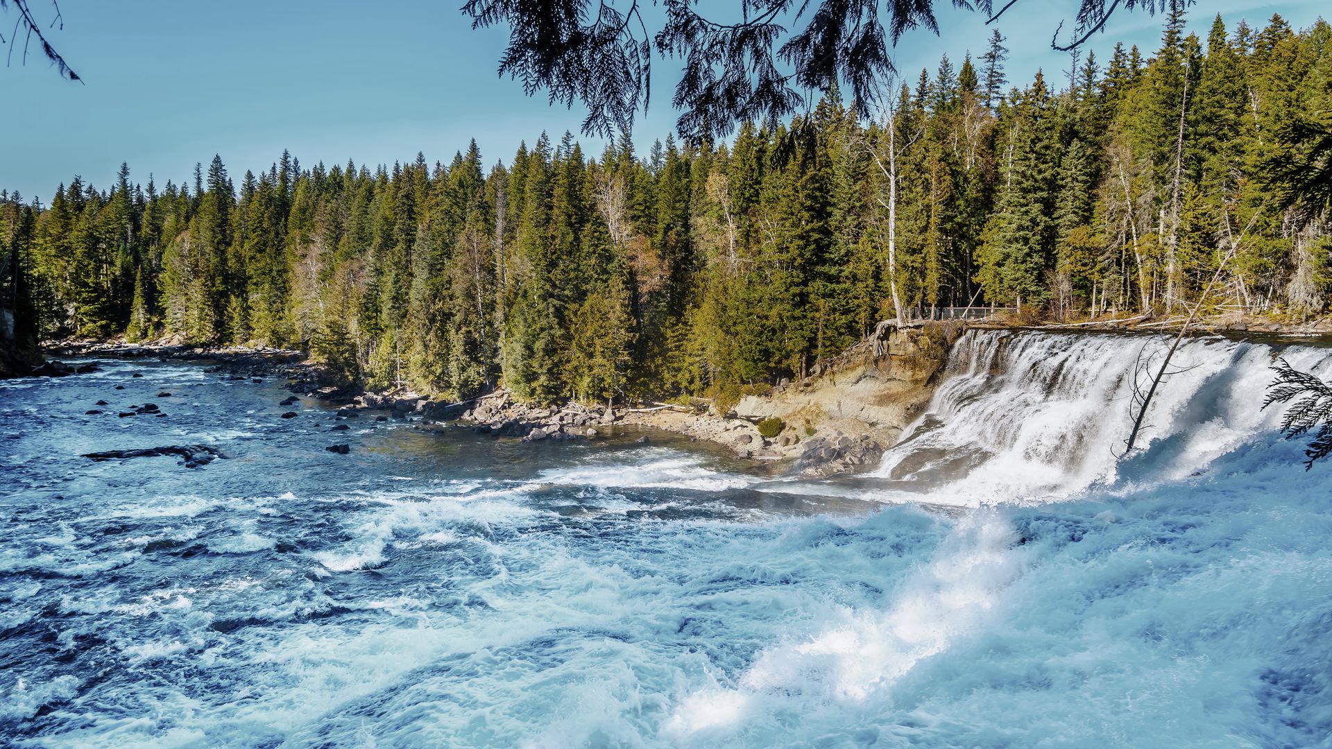 Les Dawson Falls à Wells Gray Provincial Park.