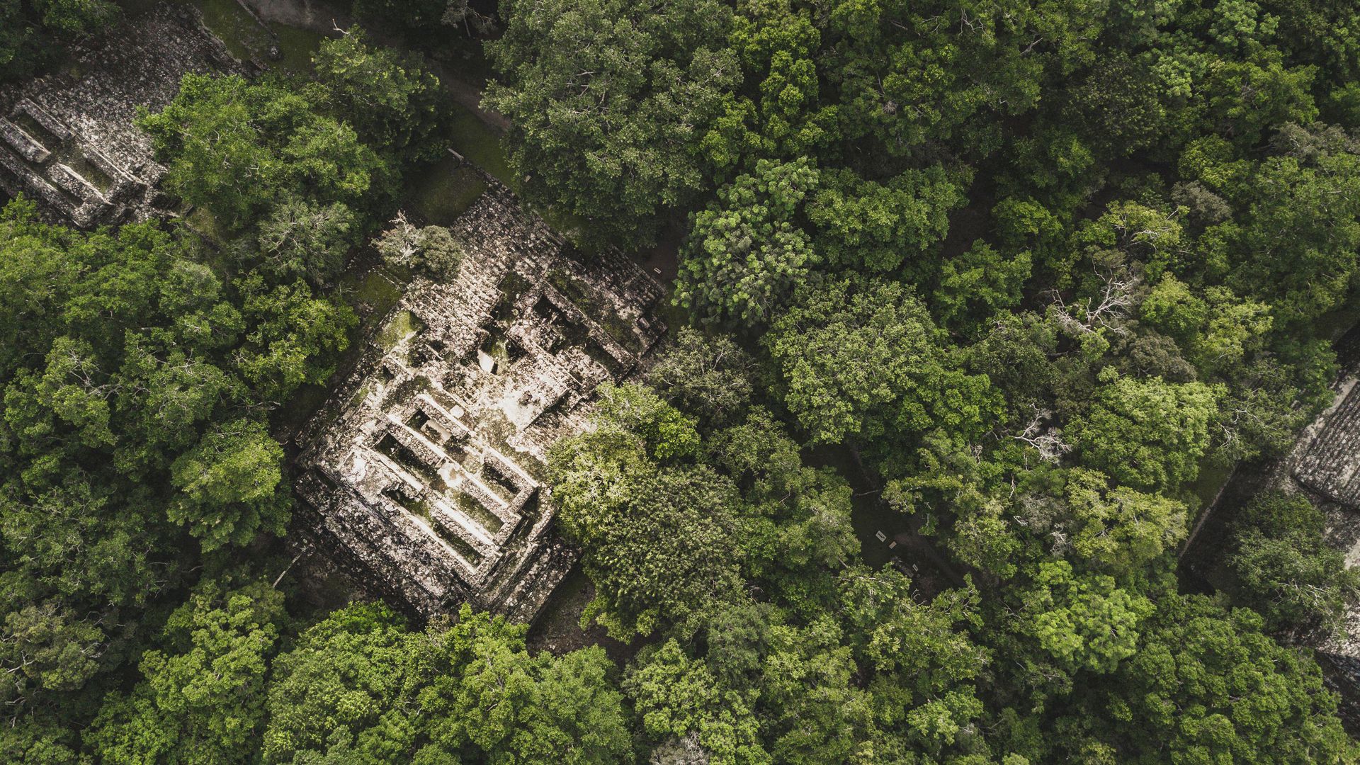 Calakmul, die Ausgrabungsstädte einer gut erhaltenen Mayastadt