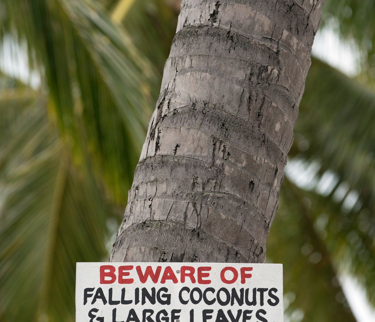 Ein wichtiger Rat auf Fidschi und Samoa