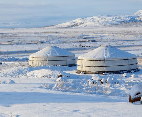 Die Anlage besteht aus 9 Yurten, in der Mongolei angefertigt, aber mit isländischem Design.