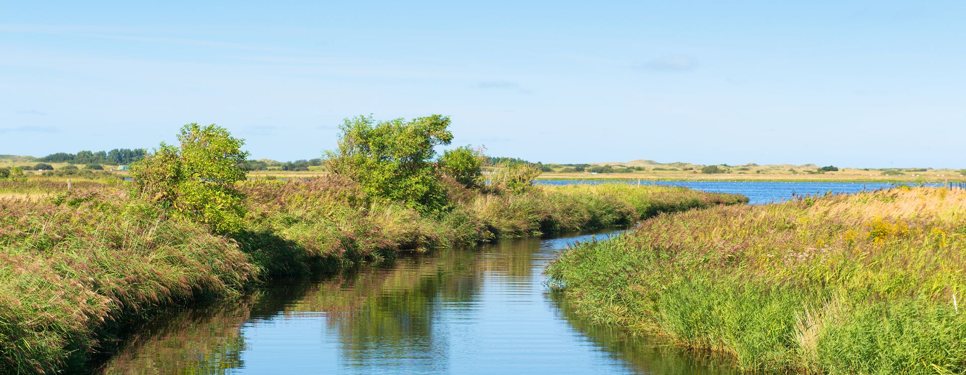 Paysages verdoyants de Borkum