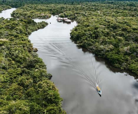 Zu Fuss und per Boot unterwegs im Dschungel.