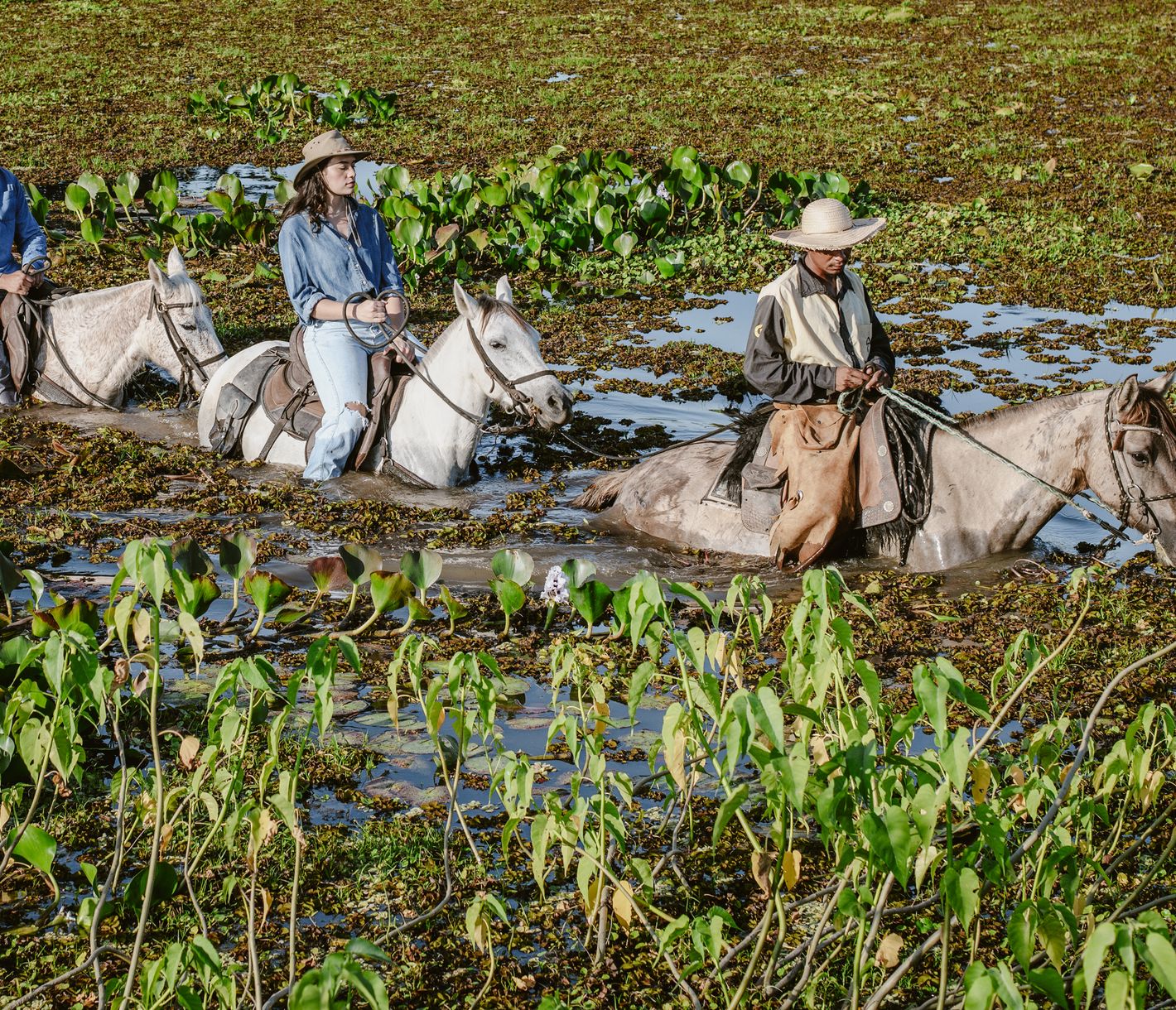 Pferderitt durch die Wildnis