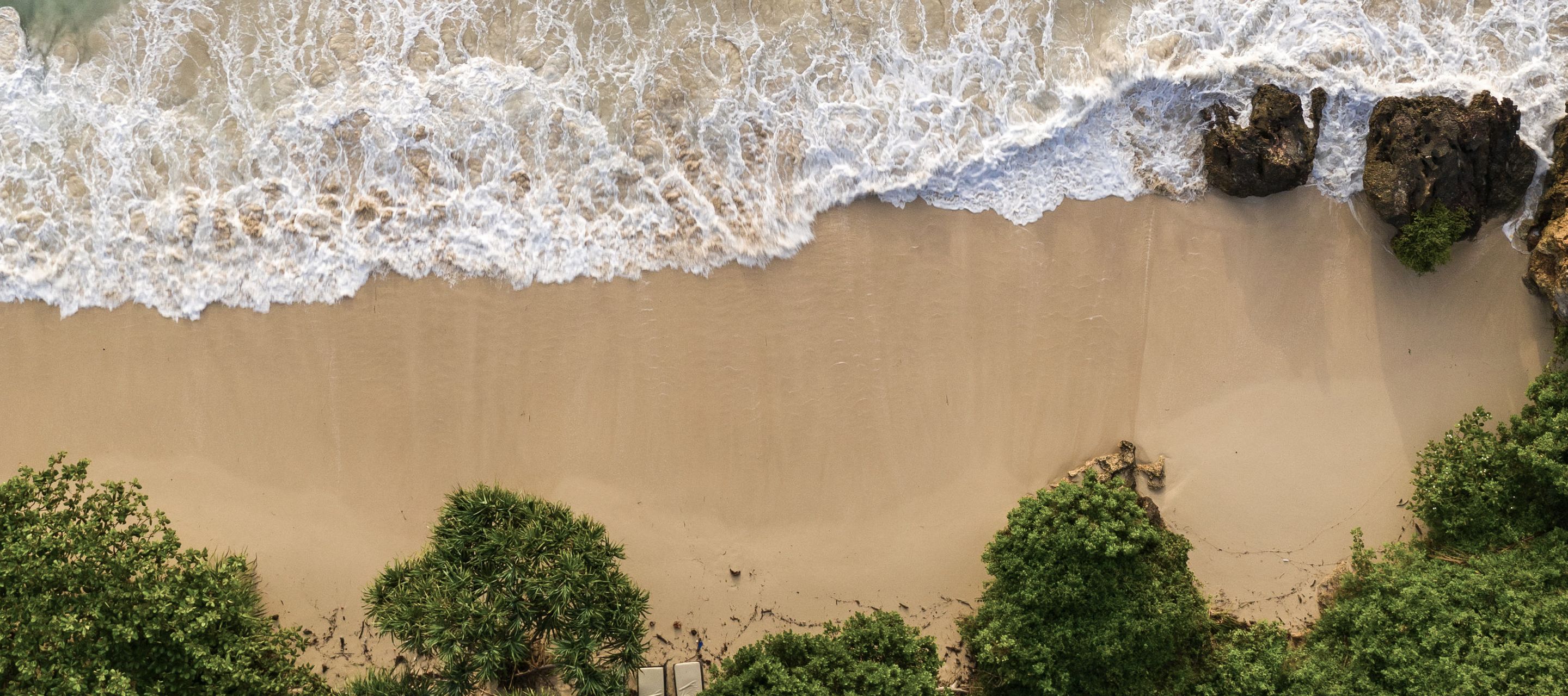 Des arbres verdoyants, du sable doré, une mer turquoise et l'écume blanche des vagues...