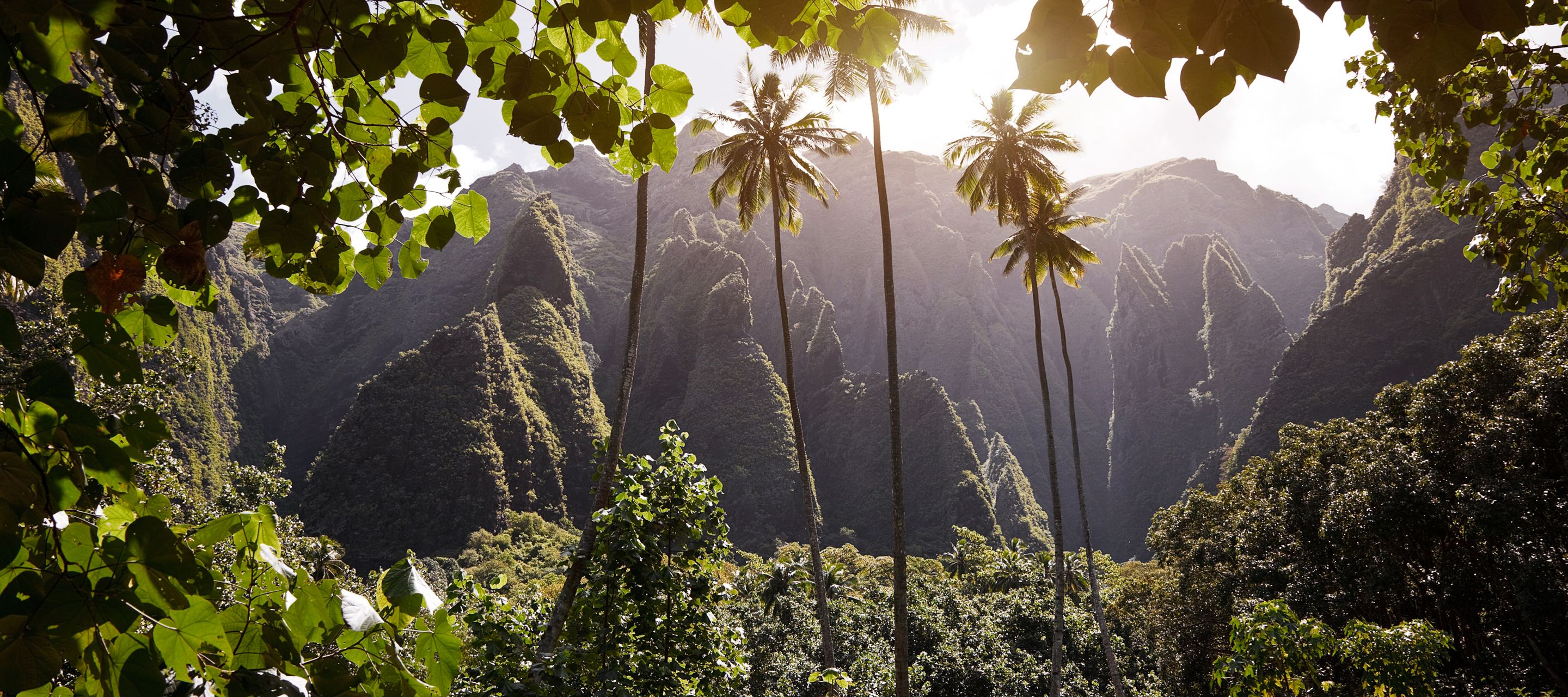 Nuku Hiva, la principale île des Marquises, dont les richesses naturelles et culturelles méritent le détour