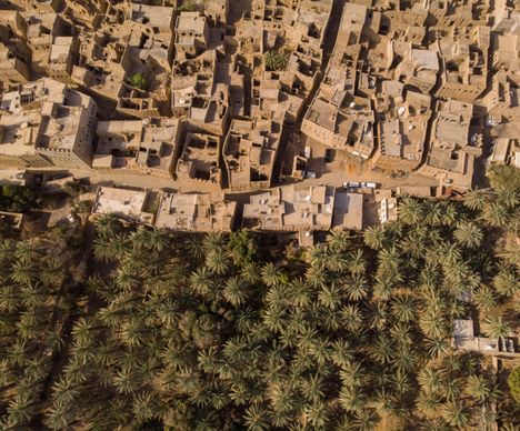 Al Hamra et sa plantation de palmiers-dattiers, une image de carte postale