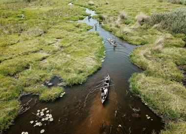 Eine Safari im Mokoro bietet einen anderen, etwas ungewohnten Blickwinkel