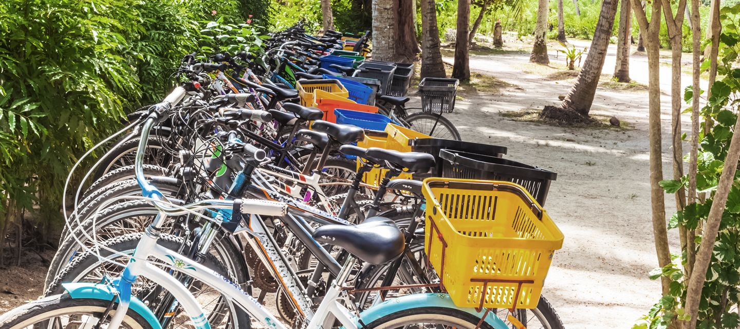Parking sous les palmiers - le vélo est le moyen de transport le plus populaire à La Digue.
