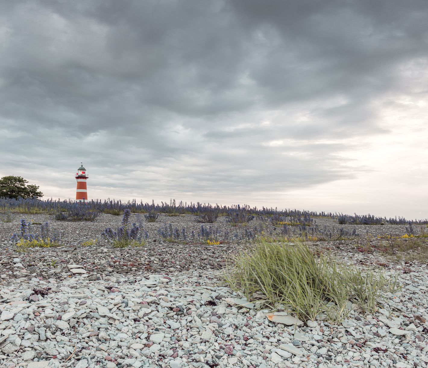 Die Halbinsel Närsholmen gleicht einer Savanne.