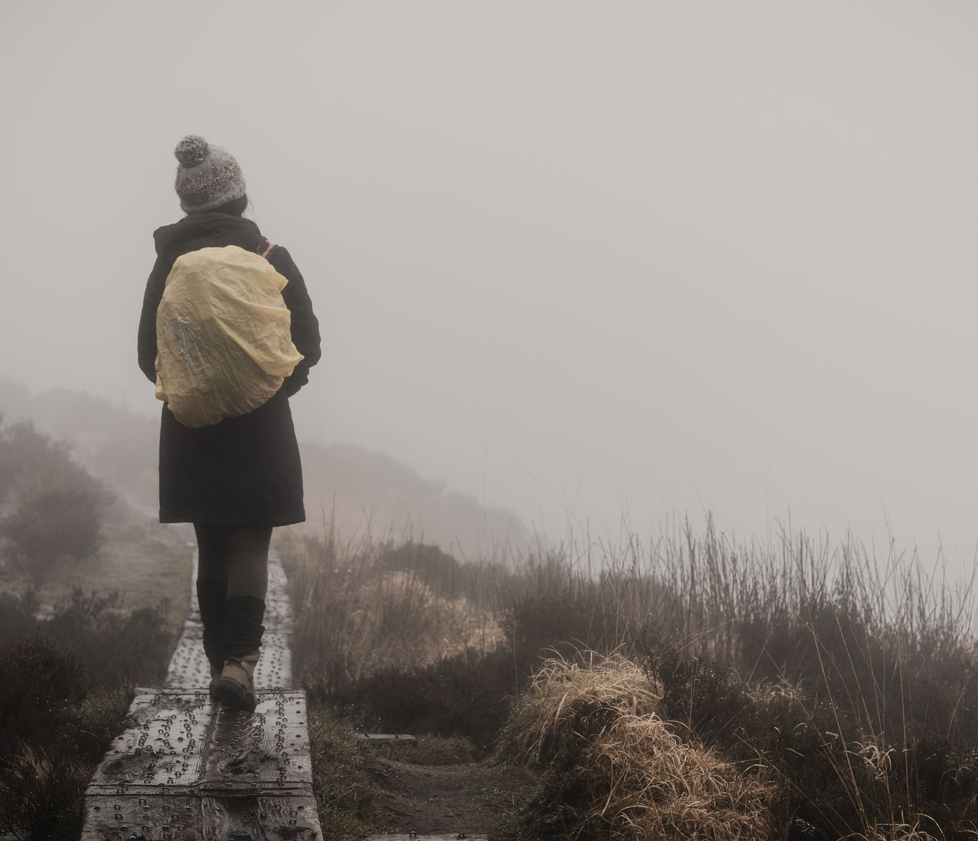 Die Kapriolen des Wetters