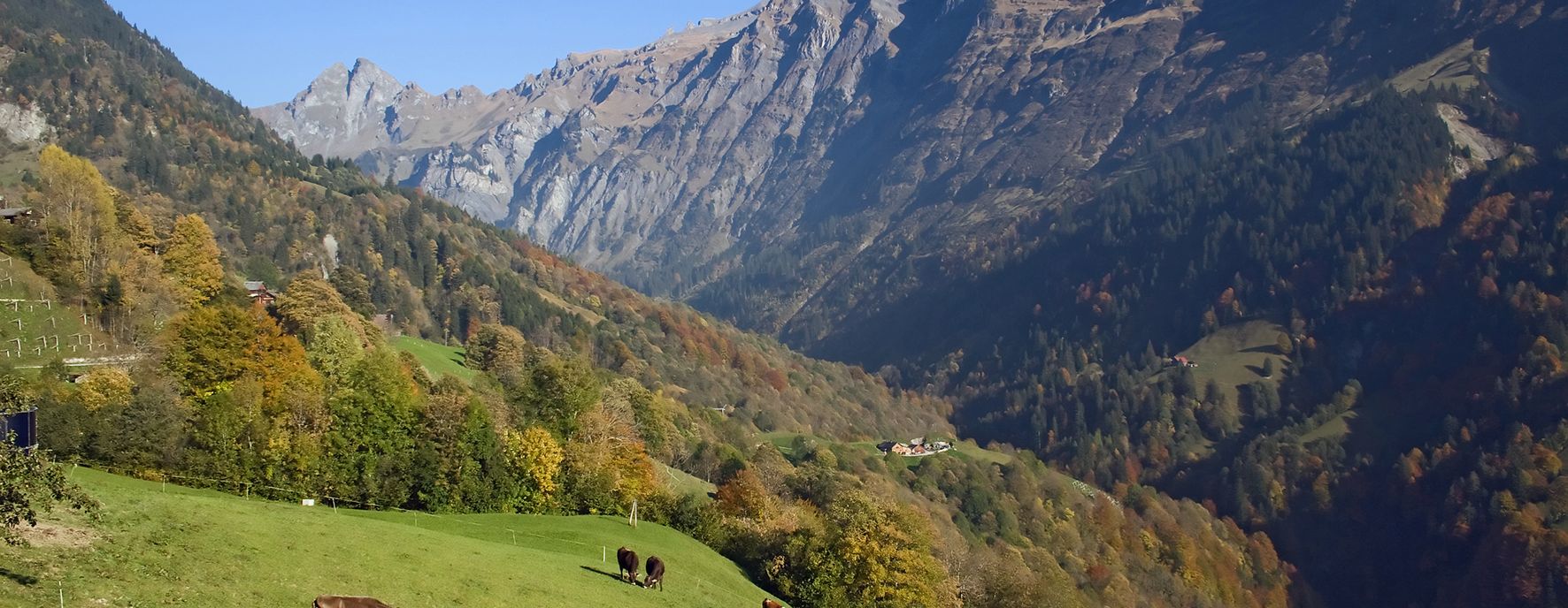 Aussicht auf die Berge im Sommer