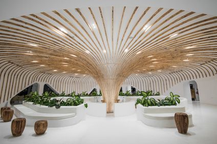 13. Bild der Unterkunft