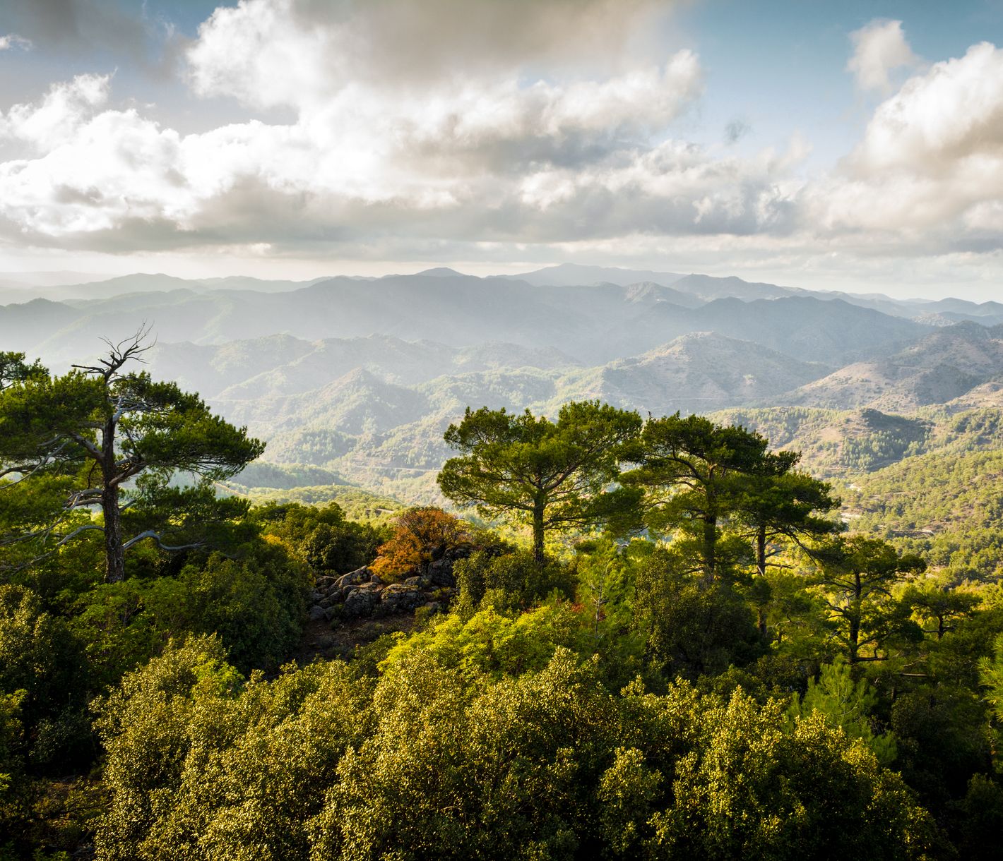 Massif du Troodos