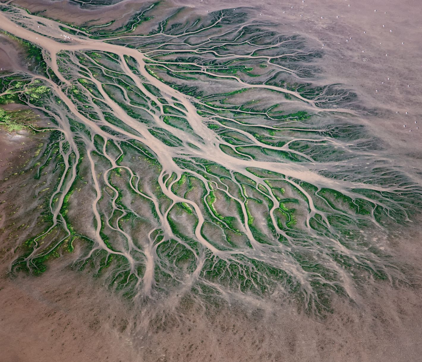 Das Delta des südlichen Ewaso-Ngiro-Flusses beim Lake Natron
