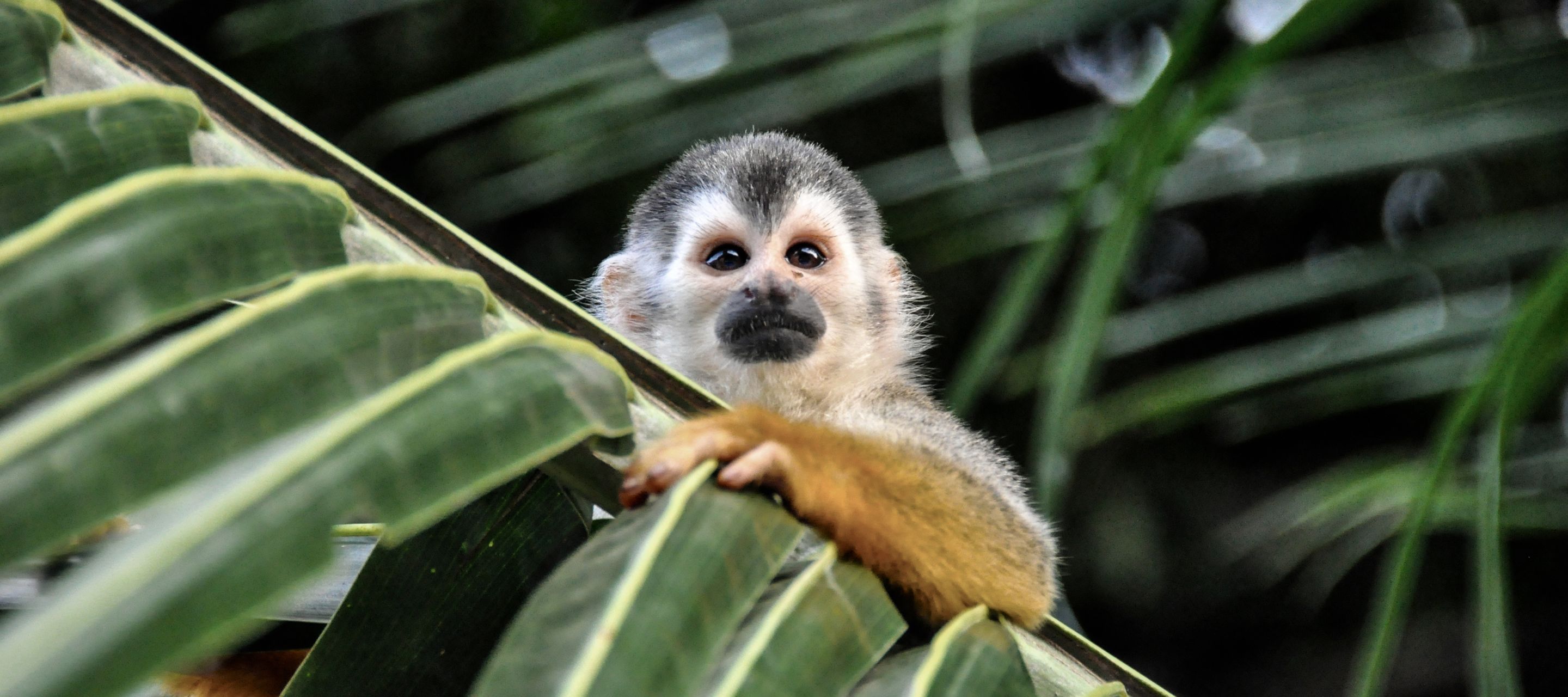 So wild und trotzdem so nah!