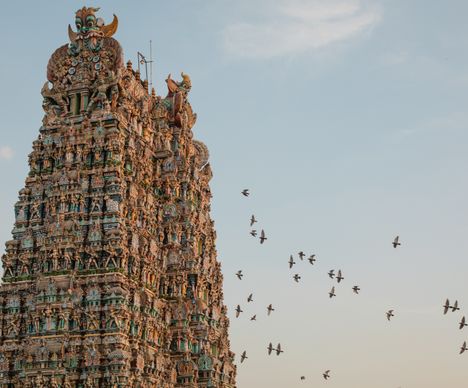 Der Meenakshi-Tempel, das Wahrzeichen der südindischen Stadt Madurai