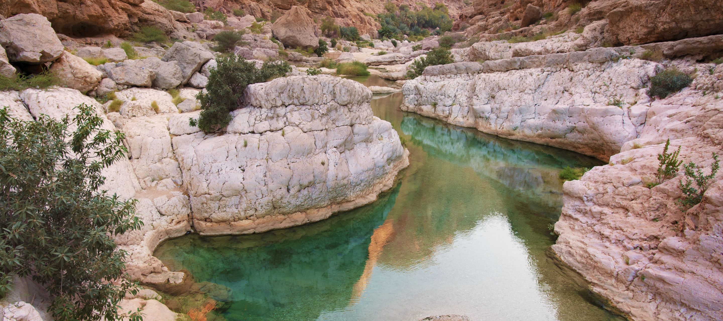 Wadi Bani Khalid in seiner schönsten Pracht