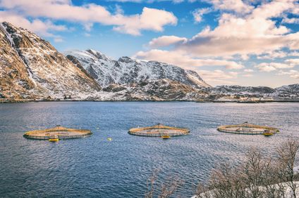 10. Bild der Rundreise