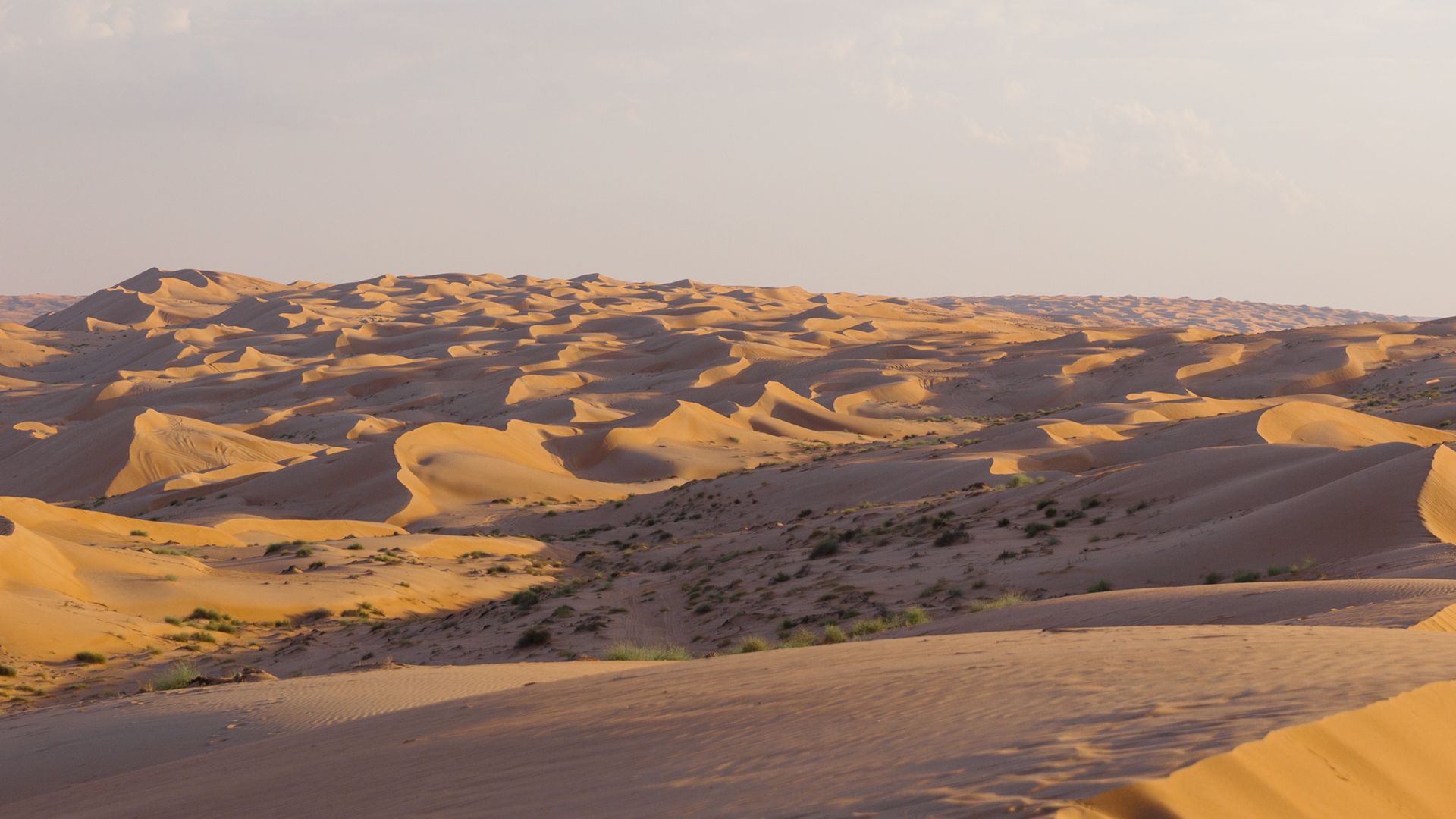 Instant d’éternité aux premières lueurs de l’aube dans le désert