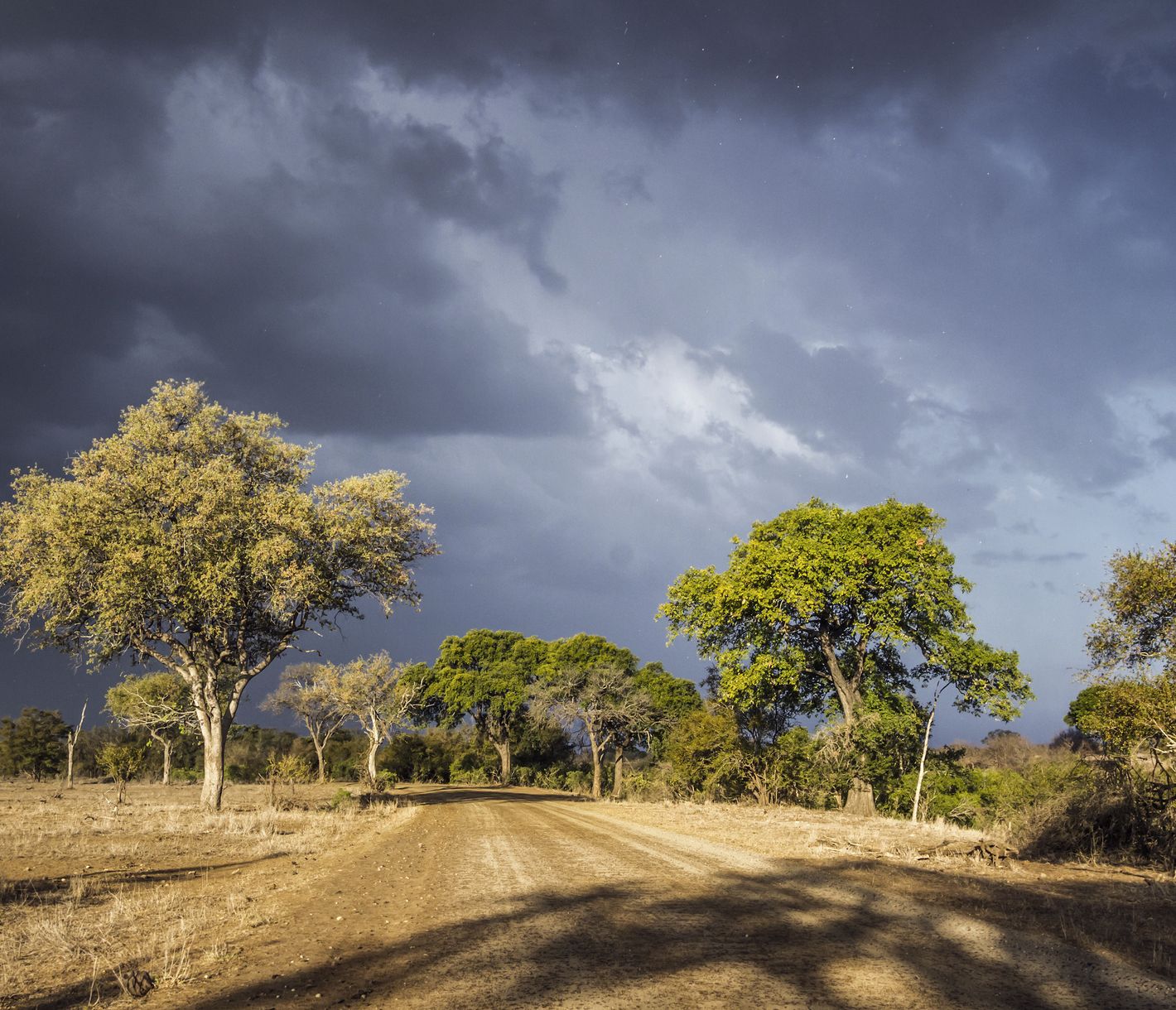 Schotterstrasse im Kruger beim Aufzug eines Sturmes