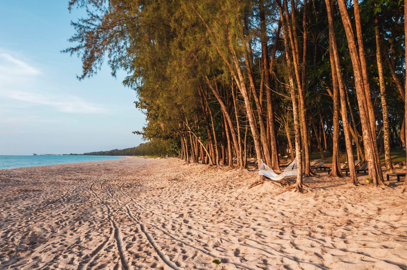 Strand