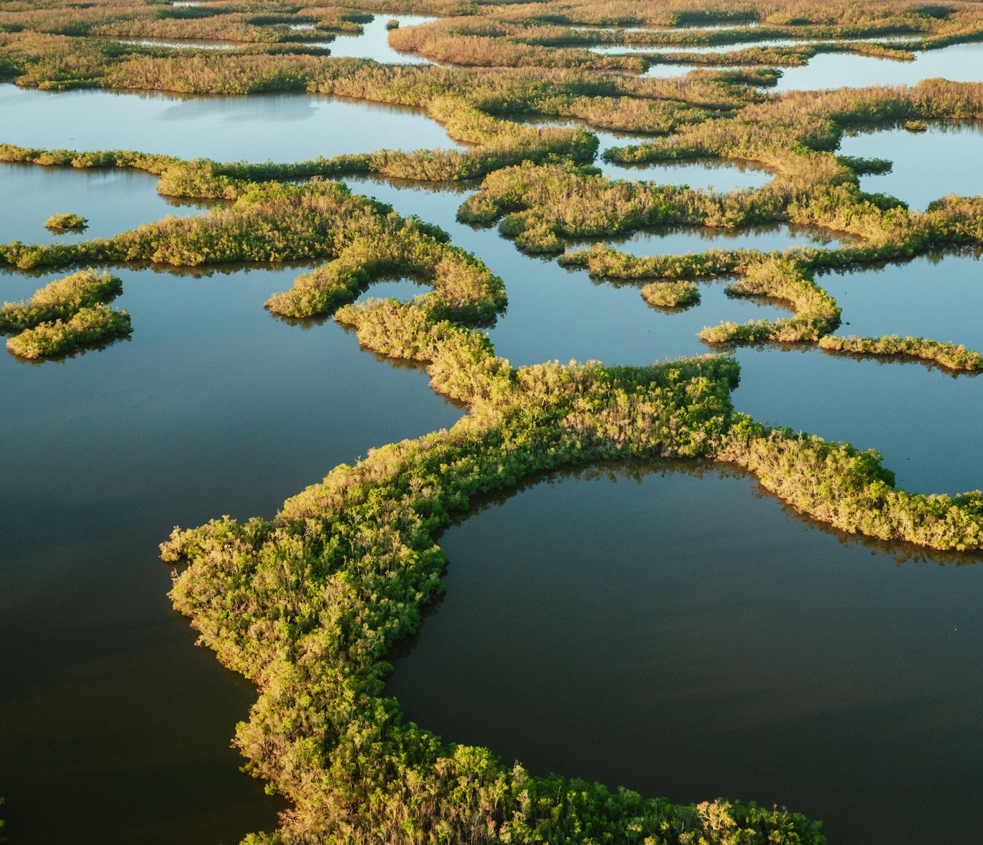 Blick auf die Ten Thousand Islands aus der Luft