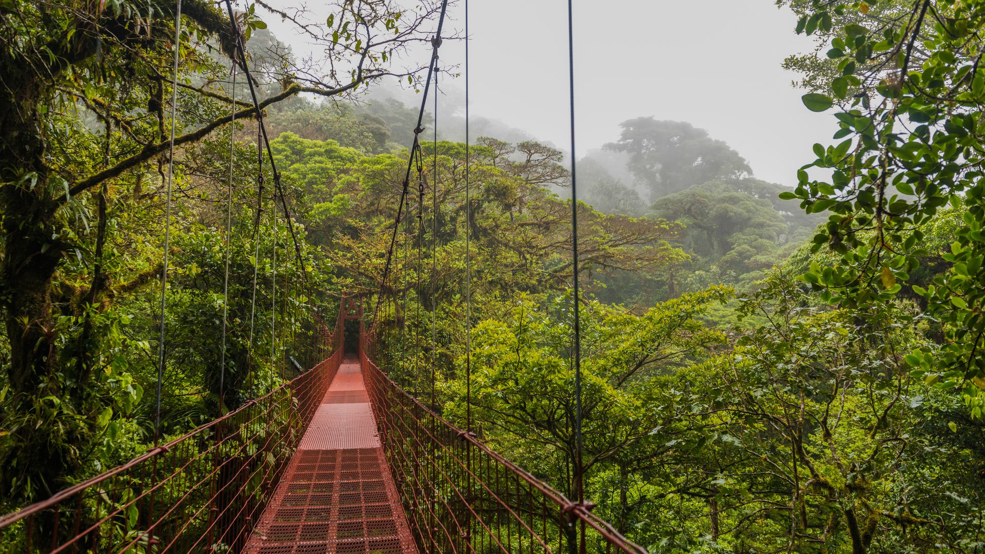 Hoch in den Lüften und trotzdem mit den Füssen am Boden.