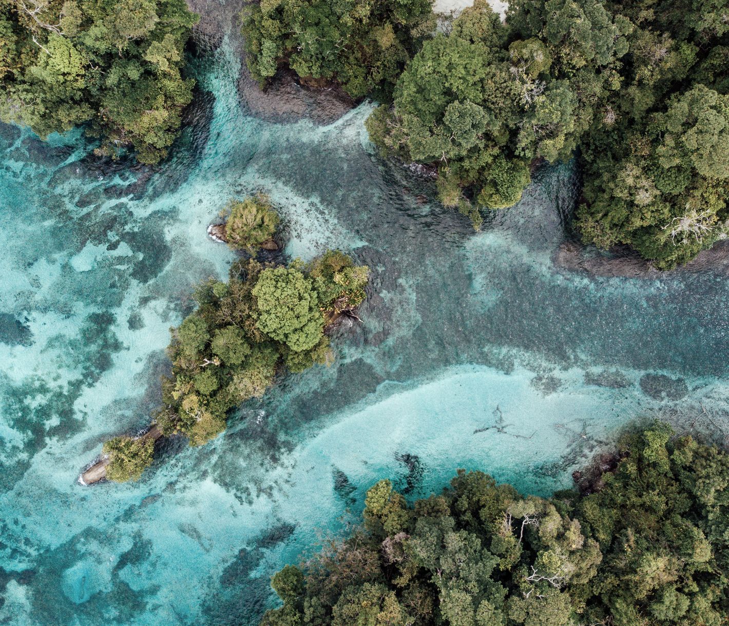 Verträumt auf Bocas del Toro