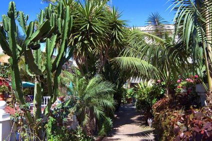 12. Bild der Unterkunft