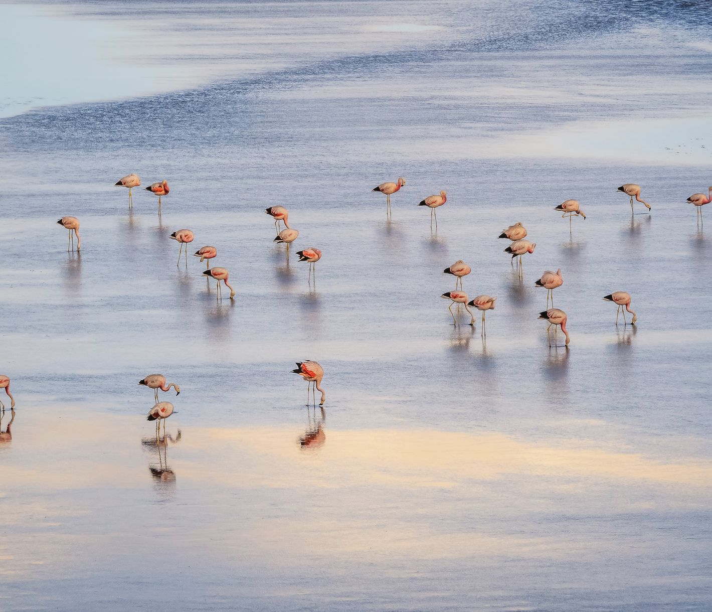 Eine Pause zwischendurch