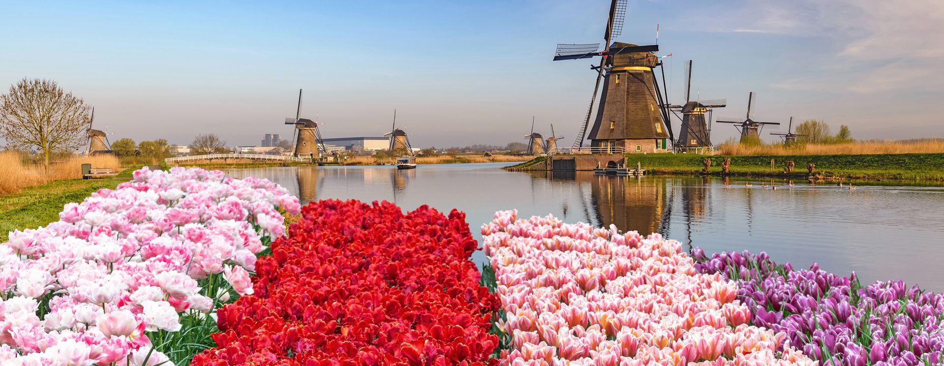 Kinderdijk Village, Rotterdam
