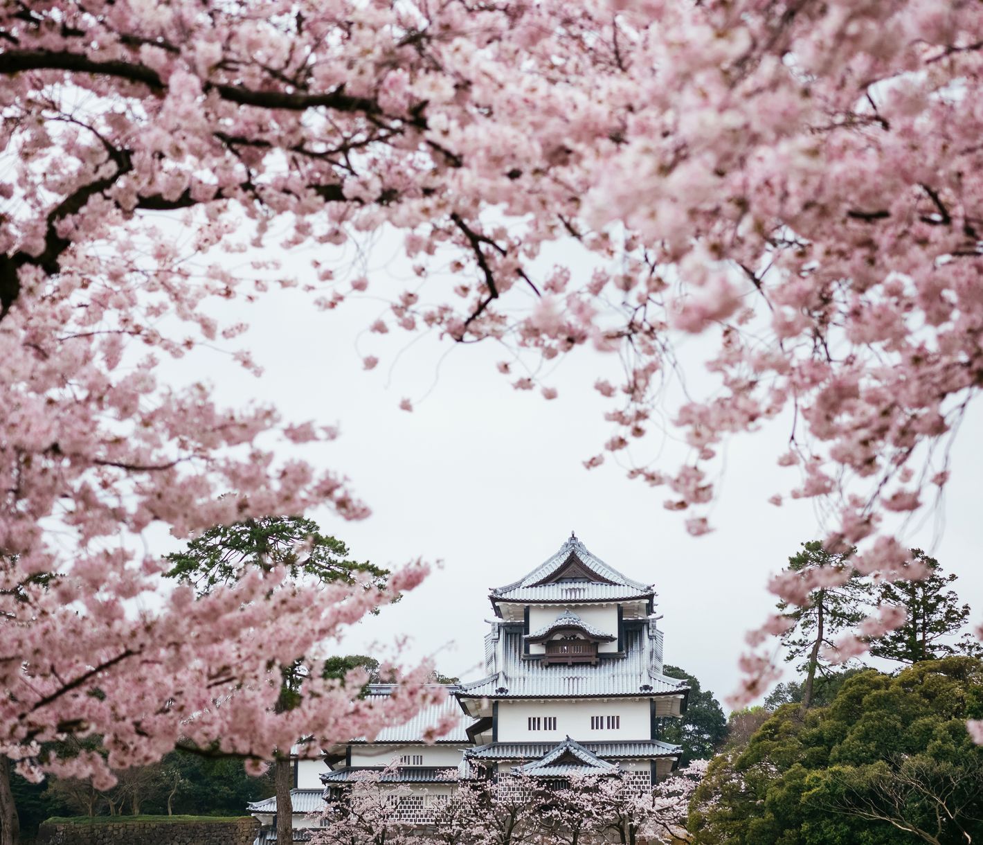 Die Burgen der Samurai