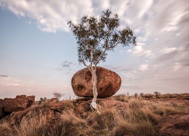 Wer hat hier seine Murmeln vergessen?
