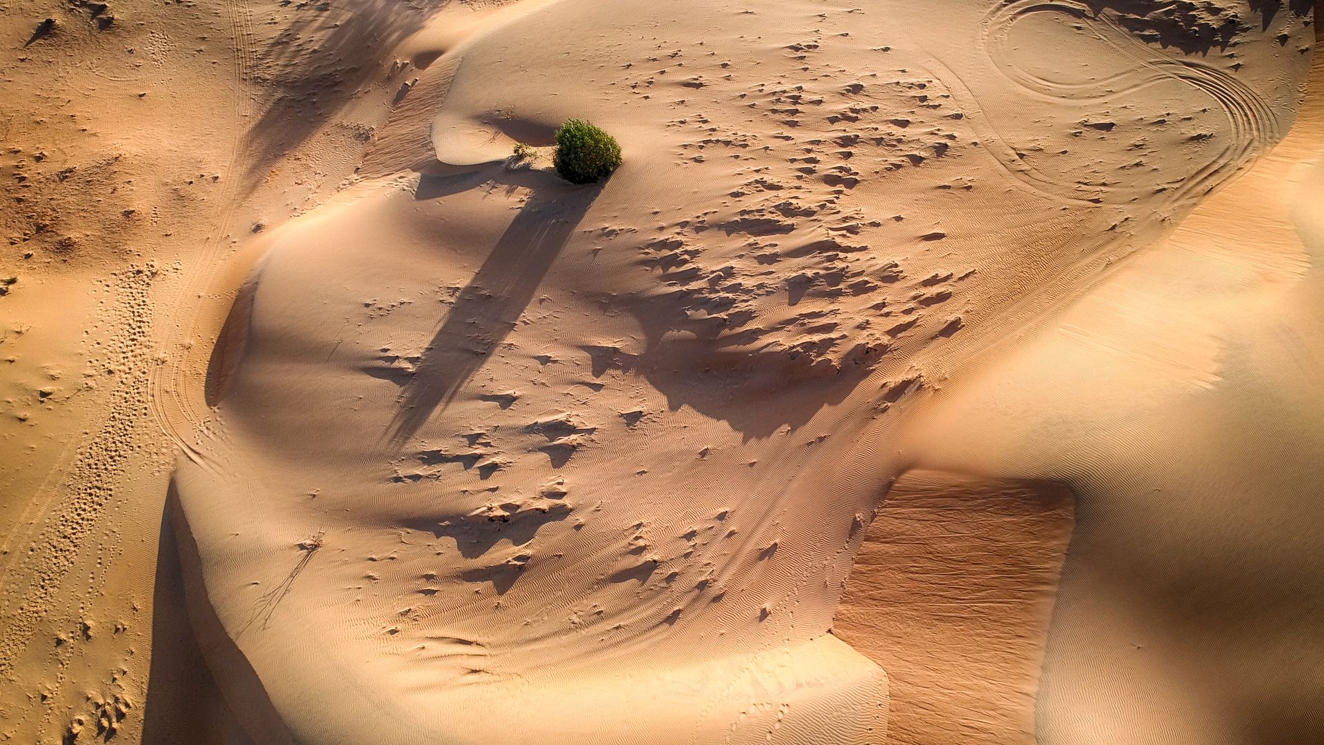 Die Sanddünen der Lompoul-Wüste von oben