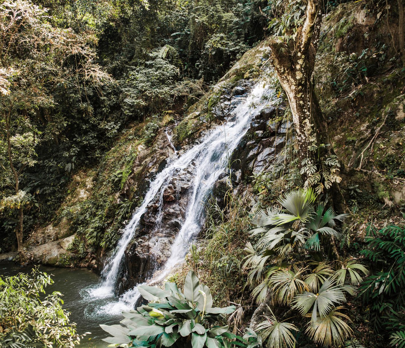 Minca, un havre de paix où l’air pur et frais contraste avec la chaleur étouffante de la côte, pourtant si proche.