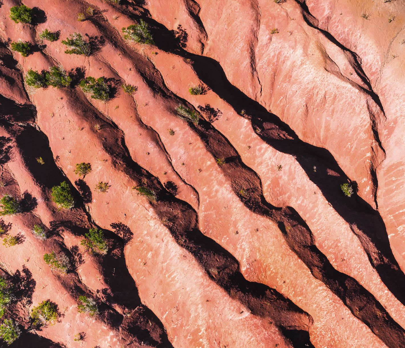 Ein Naturschauspiel der anderen Art wartet auf La Gomera.