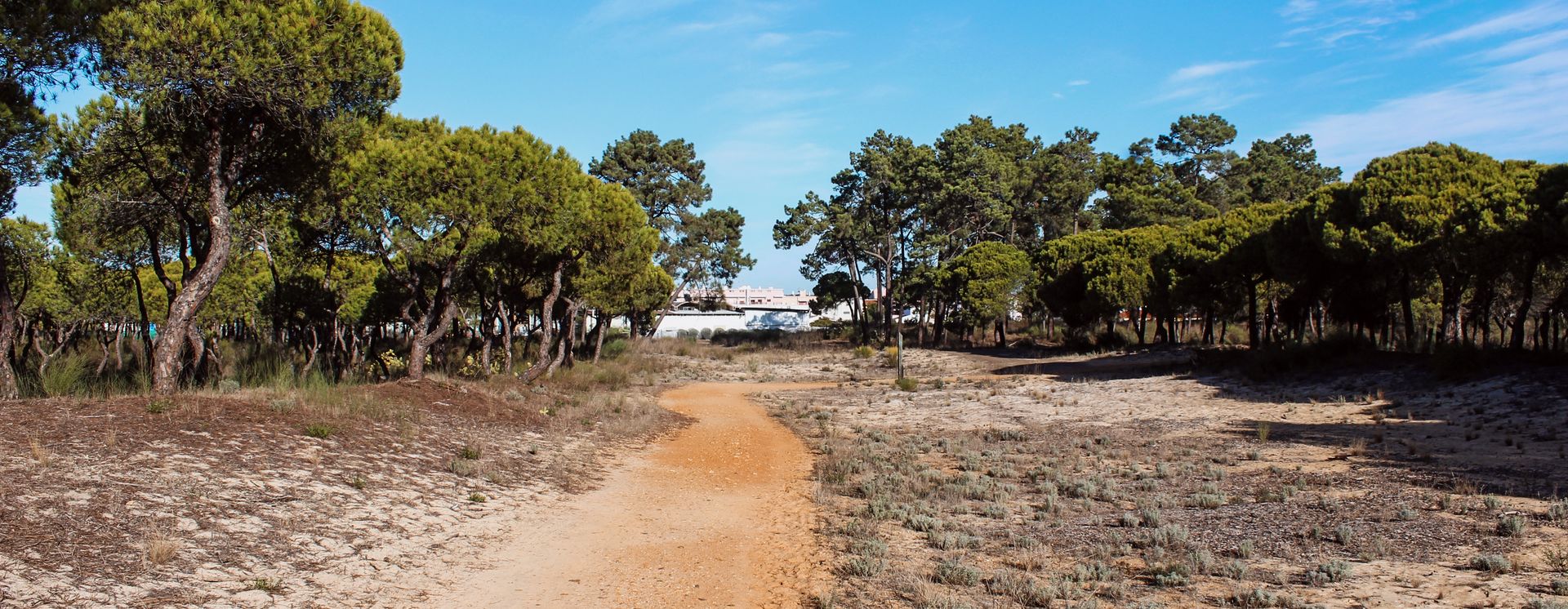 Vila Real de Santo Antonio