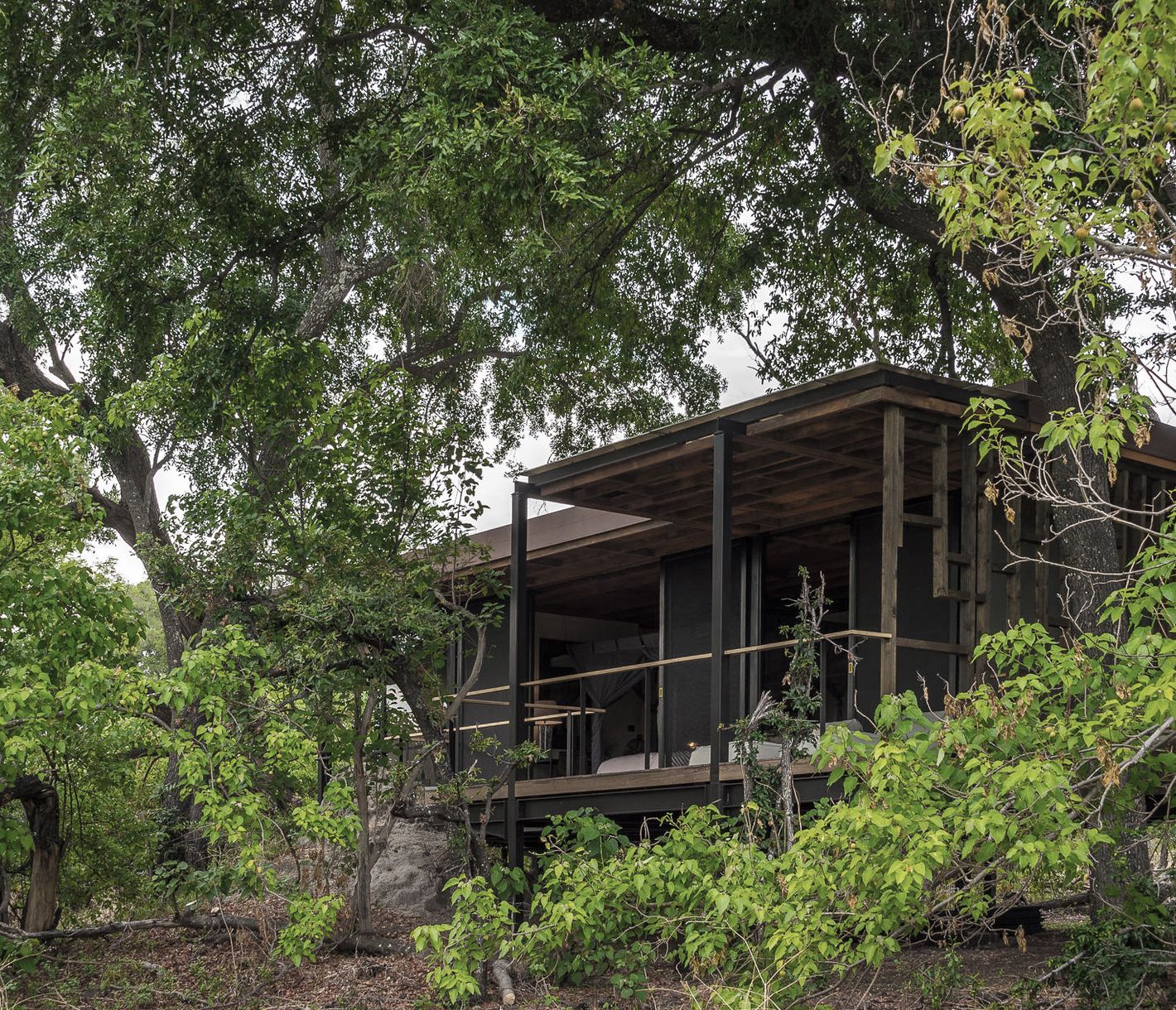 Das Qorokwe Camp in der gleichnamigen Konzession