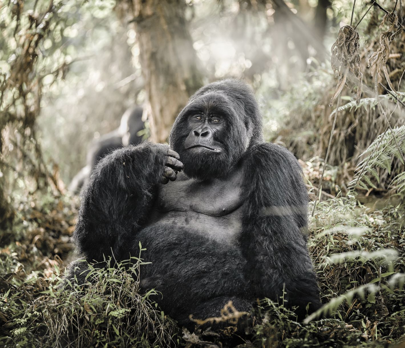 Une rencontre au sommet !
