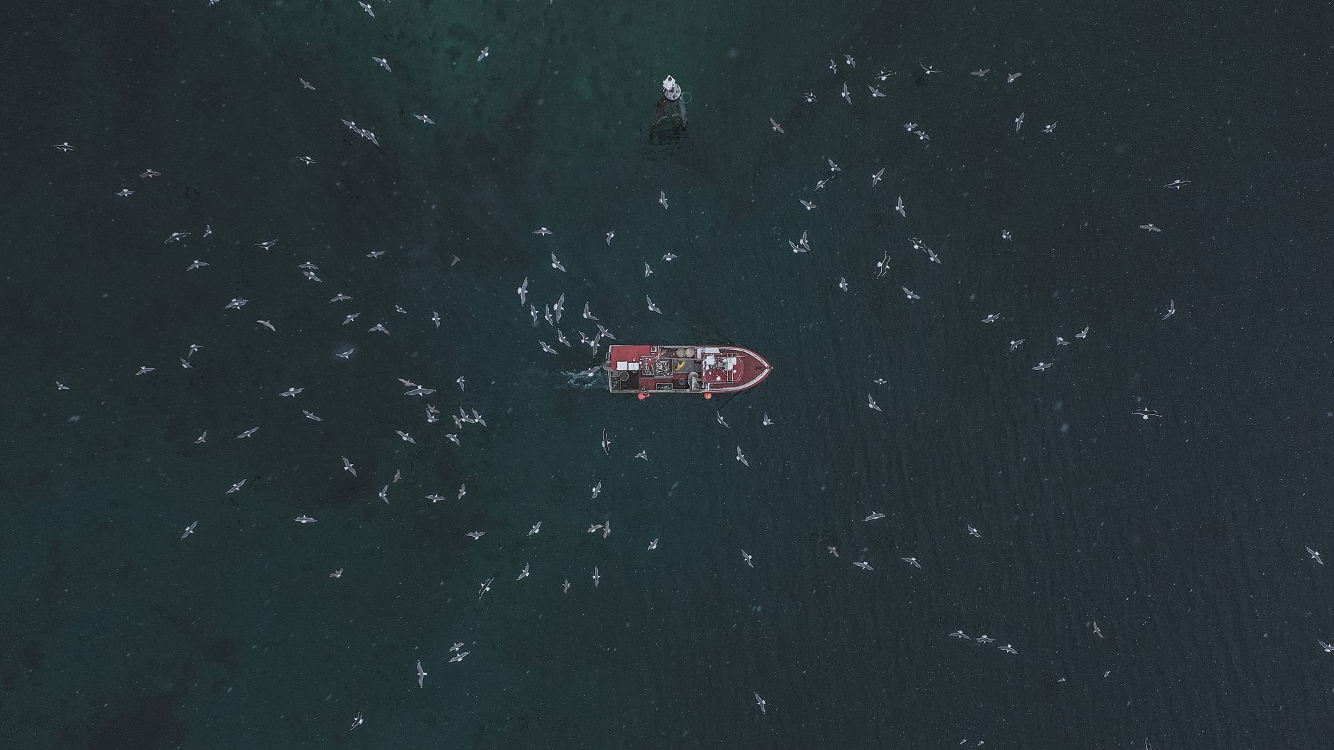 Fischerei auf den Lofoten